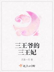 三王爷三王妃电视剧 三王爷三王妃电视剧