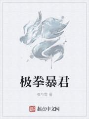 极拳暴君类似 极拳暴君类似