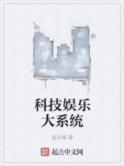 大娱乐系统