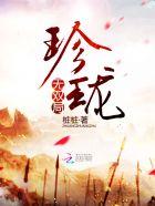 珍珑.无双局 桩桩讲的是什么故事 珍珑.无双局 桩桩讲的是什么故事