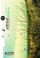 十五年等待候鸟女主 十五年等待候鸟女主