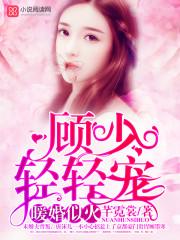 暖婚似火:顾少,轻轻宠 暖婚似火:顾少,轻轻宠